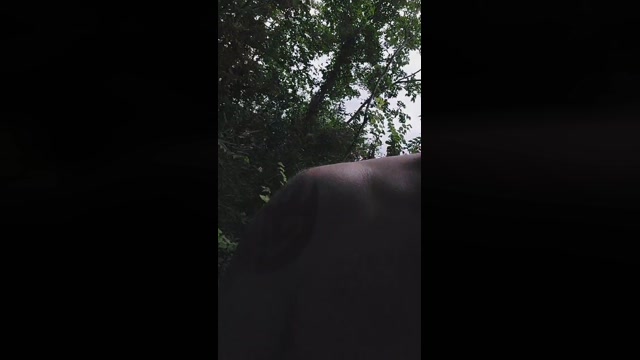 dutchy47  07-07-2022